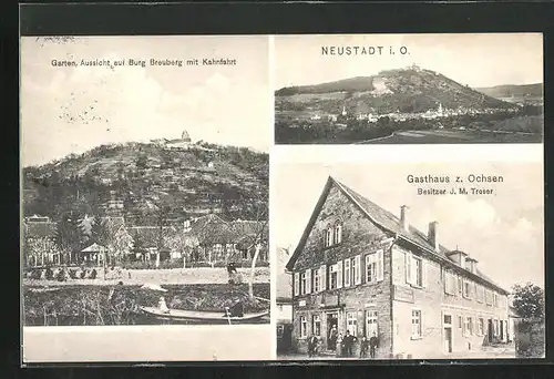 AK Neustadt /Odenwald, Gasthaus Zum Ochsen, Burg Breuberg mit Kahnfahrt
