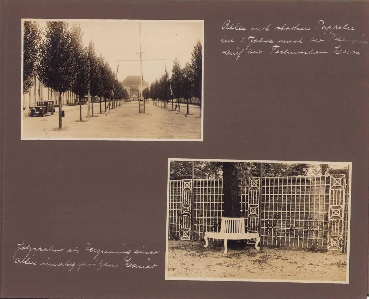 Fotoalbum 48 Fotografien, Ansicht Leipzig-Schleussig, Otto Neumann Landschaftsgärtnerei, Der Wohnliche Garten 14