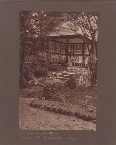 Fotoalbum 48 Fotografien, Ansicht Leipzig-Schleussig, Otto Neumann Landschaftsgärtnerei, Der Wohnliche Garten