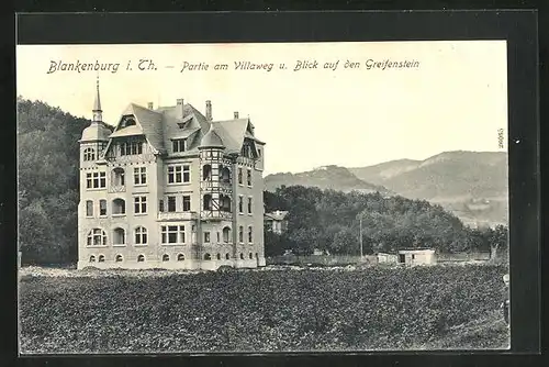 AK Blankenburg i. Th., Partie am Villaweg und Blick auf den Greifenstein