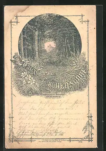Vorläufer-Lithographie Eisenach, Hotel Hohe Sonne, Blick durch einen Waldpfad, 1888