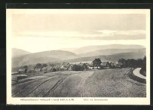 AK Hohegeiss im Oberharz, Blick ins Bärenbachtal