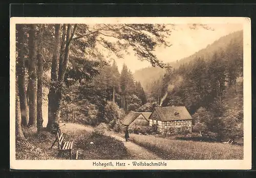 AK Hohegeiss im Oberharz, auf dem Weg hinab zur Wolfsbachmühle