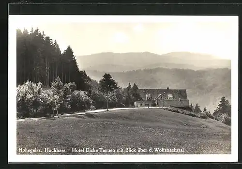AK Hohegeiss im Oberharz, Hotel Dicke Tannen mit Blick über d. Wolfsbachtal