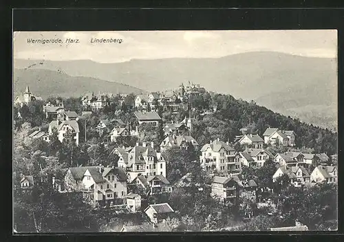 AK Wernigerode im Harz, Blick auf die Villen am Lindenberg
