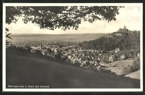 AK Wernigerode im Harz, Stadttotale und Schloss