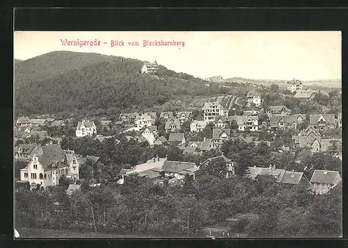 AK Wernigerode im Harz, Stadtansicht vom Blockshornberg aus