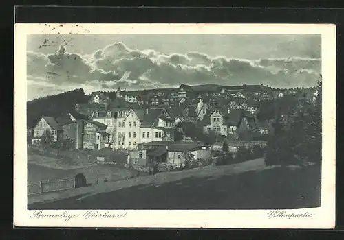 AK Braunlage im Harz, Blick auf die prachtvollen Villen