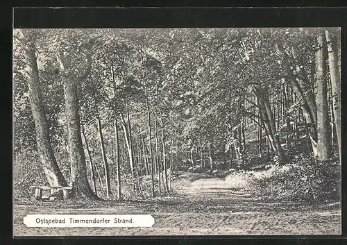 AK Timmendorferstrand, auf der Strasse in den Wald