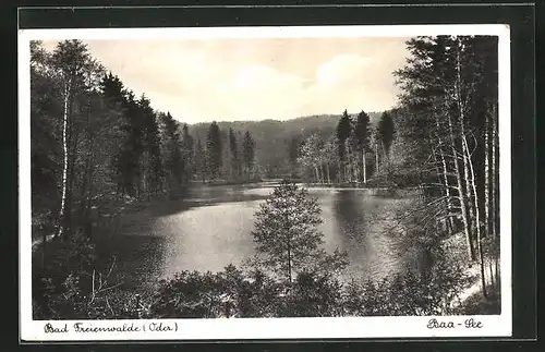 AK Bad Freienwalde / Oder, Blick auf den Baa-See