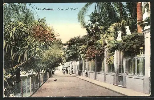AK Las Palmas, Calle del Toril