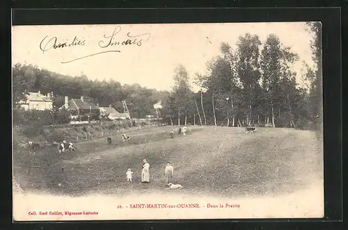 AK Saint-Martin-sur-Ouanne, Dans la Prairie