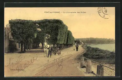 AK Pont-sur-Yonne, la promenade des Buttes