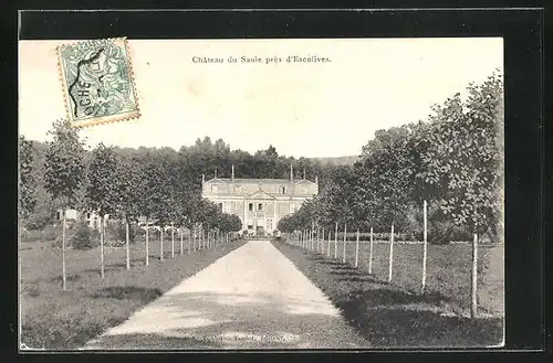 AK Escolives-Sainte-Camille, Chateau du Saule