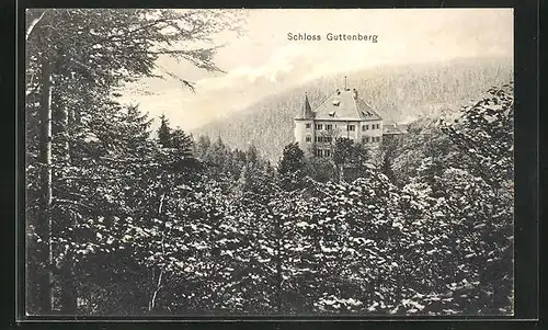 AK Guttenberg, Blick auf das Schloss