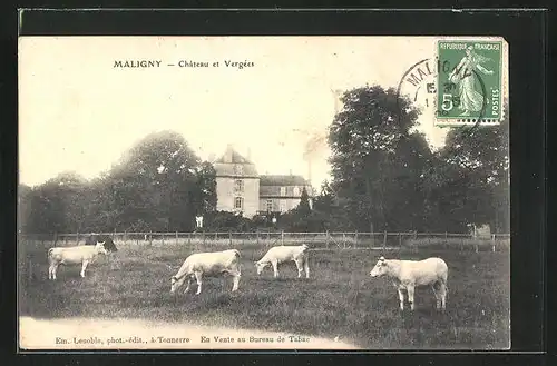AK Maligny, Château et Vergées