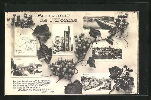 AK Tonnerre, Brücke mt Ortsansicht, Kirche, Beerenstrauch