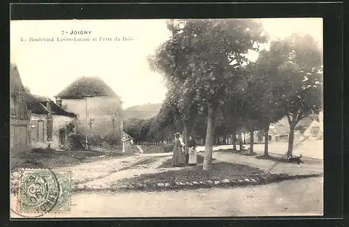 AK Joigny, Le Boulevard Lesire-Lacam et Porte du Bois