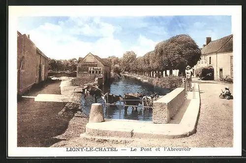 AK Ligny-le-Chatel, le Pont et l'Abreuvoir