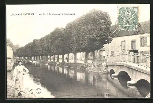 AK Ligny-le-Chatel, Bief du Serein et Abreuvoir