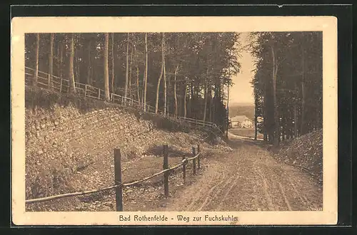 AK Bad Rothenfelde, Weg zur Fuchskuhle