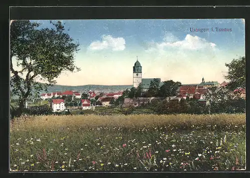 AK Usingen / Taunus, Blick von der Blumenwiese auf den Ort
