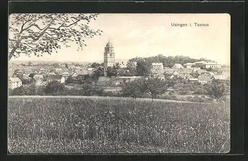 AK Usingen / Taunus, Blick von der Bergwiese auf den Ort