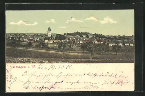 AK Usingen / Taunus, Panoramablick zum Ort