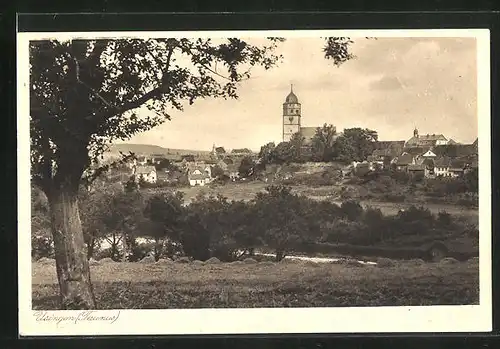 AK Usingen / Taunus, Panoramablick zum Ort