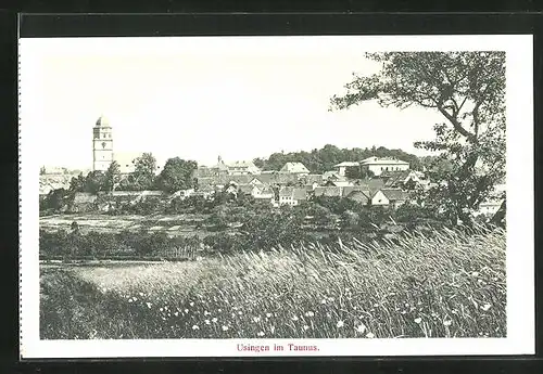 AK Usingen / Taunus, Totalansicht