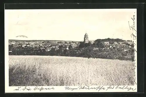 AK Usingen / Taunus, Totale von der Bergwiese gesehen