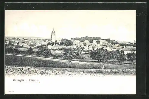 AK Usingen / Taunus, Panoramablick zum Ort