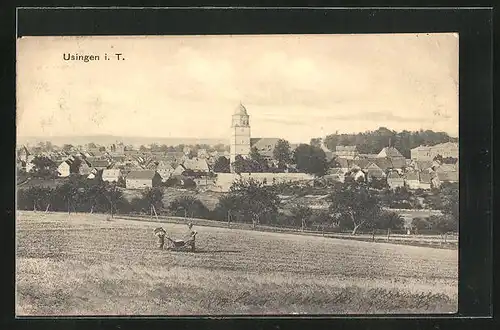 AK Usingen / Taunus, Panoramablick auf den Ort