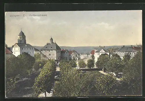 AK Usingen / Taunus, Teilansicht mit Rathausstrasse