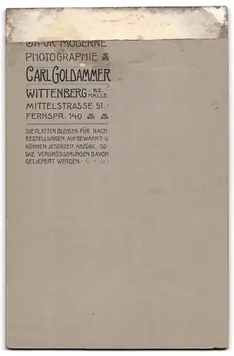 Fotografie Carl Goldammer, Wittenberg, Mittelstrasse 51, Herr mit gewaltigem Schnurrbart und Scheitelfrisur