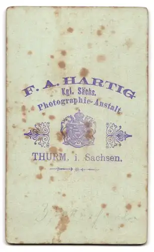 Fotografie F. A. Hartig, Thurm i. Sachsen, Portrait junge Dame mit zurückgebundenem Haar