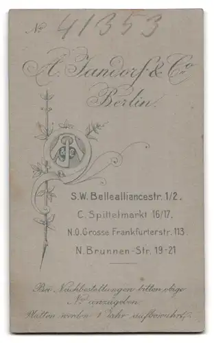 Fotografie A. Jandorf & Co., Berlin-SW, Bellealliancestrasse 1-2, Portrait junge Dame in hübscher Kleidung