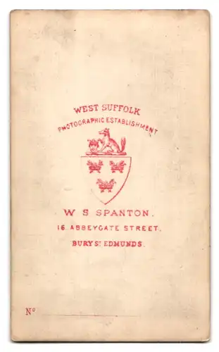 Fotografie W. S. Spanton, Bury St. Edmunds, 16 Abbeygate Street, Portrait Gentleman im Anzug mit wirrer Frisur