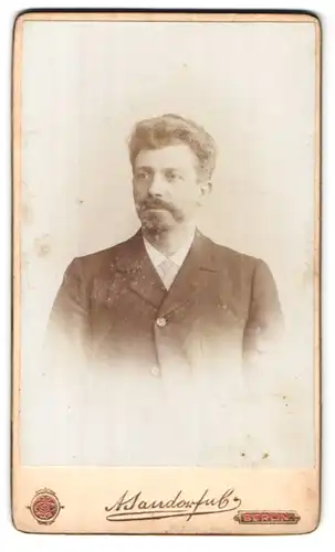 Fotografie A. Jandorf & Co., Berlin, Belle-Alliance-Str. 1, Portrait Gentleman im Anzug mit Vollbart