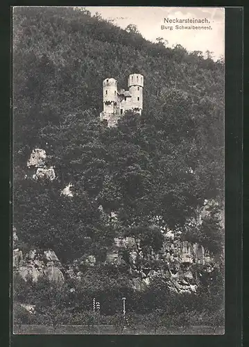 AK Neckarsteinach, Burg Schwalbennest mit Umland