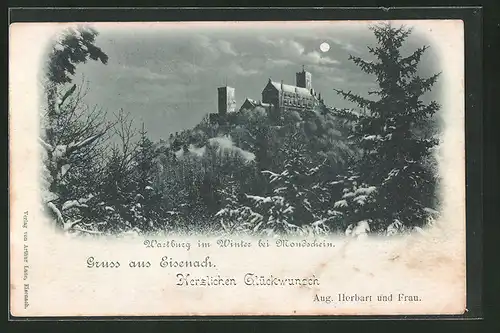 Mondschein-AK Eisenach, Wartburg im Winter bei Mondschein