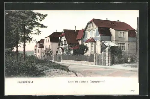 AK Lüdenscheid, Villen am Stadtwald Sachsenstrasse