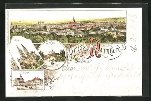 Lithographie Naumburg a. S., Marienthor, Dom, Marktplatz