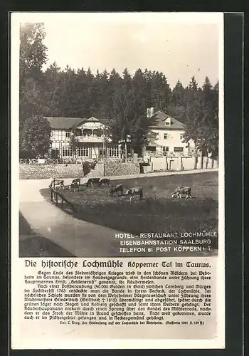 AK Wehrheim /Taunus, Gasthaus Lochmühle im Köpperner Tal