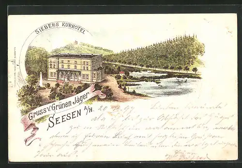 Lithographie Seesen a. H., Siebers Kurhotel Grüner Jäger mit Umgebung