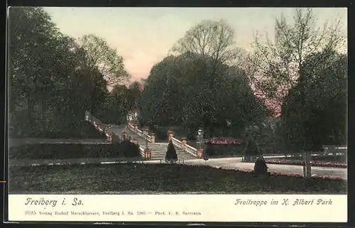 AK Freiberg i. Sa., Freitreppe im König Albert-Park