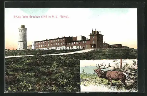 AK Brocken, Blick zum Brockenhotel und Aussichtsturm