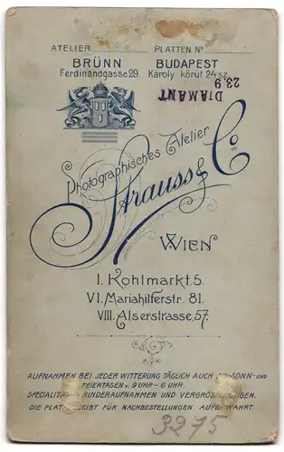 Fotografie Atelier Strauss & Co., Wien, Kohlmarkt 5, bürgerlicher Herr mit Fliege