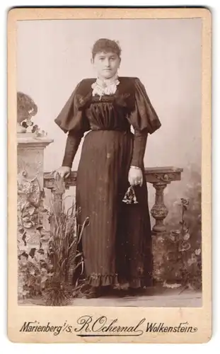 Fotografie Robert Ochernal, Marienberg, Ratsgasse 35, Portrait junge Dame im hübschen Kleid