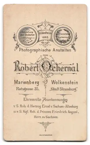 Fotografie Robert Ochernal, Marienberg, Ratsgasse 35, Portrait junge Dame im hübschen Kleid